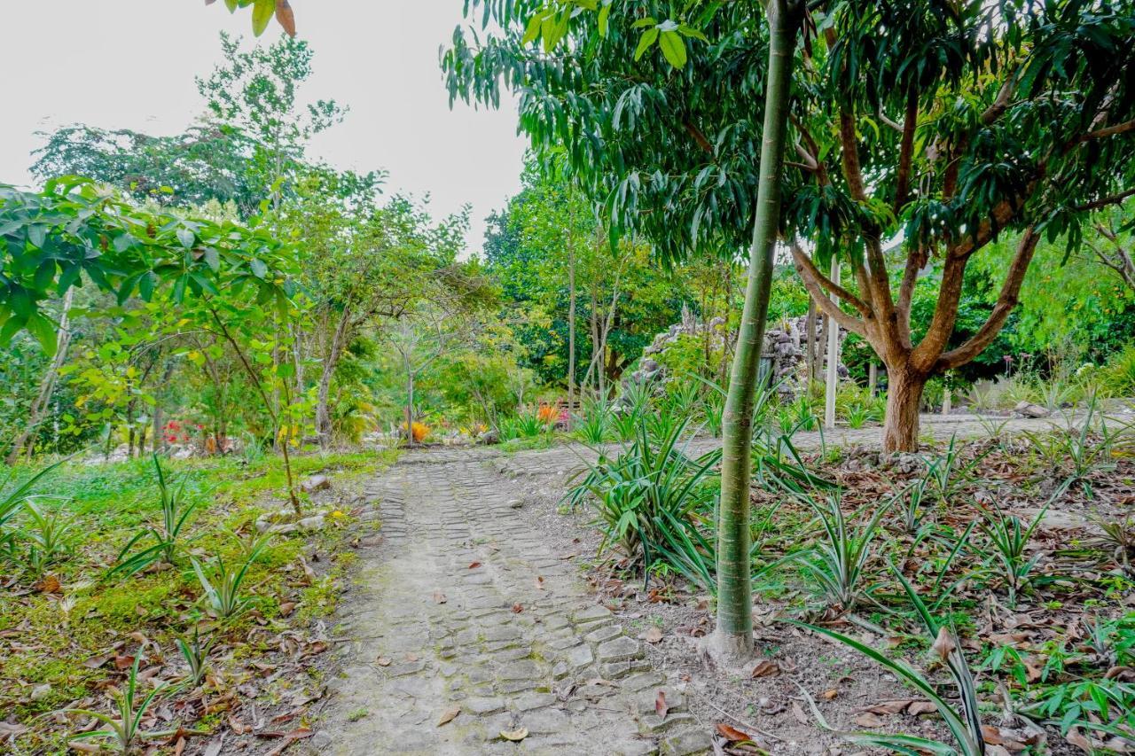 Pousada Kabana De Pedra Ibicoara Exterior photo